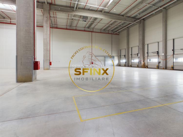 Spatiu depozitare clasa A, zona vest, Dragomiresti, A1. - 5