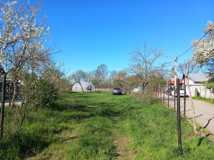 Teren intravilan 2927 mp - com. Domnesti sat Teghes - 2