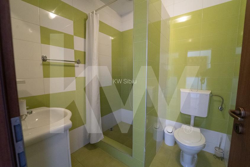 De vanzare – Imobil cu potential turistic si rezidential in Ocna Sibiului - 22