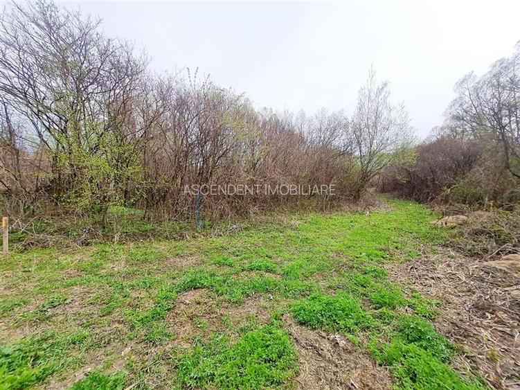 Teren 1.700 mp intravilan, natura, vecinatati bune, potential dublu, Lunca Calni - 17