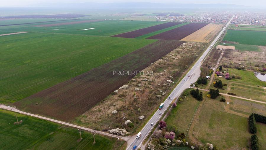 Teren de 41800 mp ieșire Vladimirescu - 8