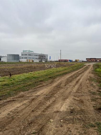 Teren intravilan 2000 mp-deschidere 27m la DJ200-Dascalu - 3