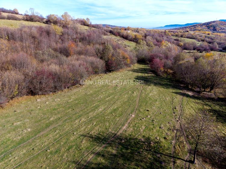 Teren intravilan 2500mp Tohanita Zarnesti- ideal casa de vacanta - 10