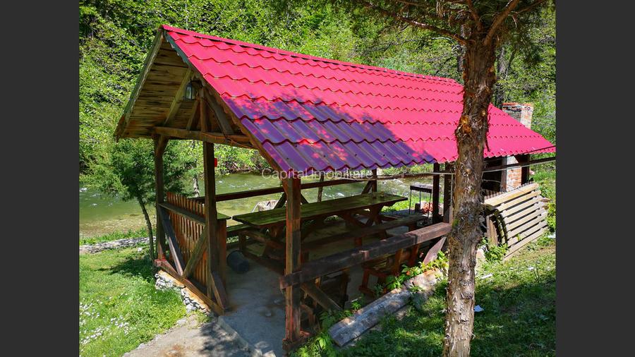 Casa de vacanta perfecta pe malul Cernei  - 4