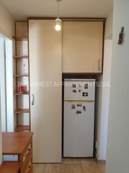 Apartament 2 camere Clucerului / Herastrau - 11