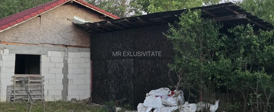 Casă cu 7.769 mp teren și pădure | Budieni | 53.000€ - 7