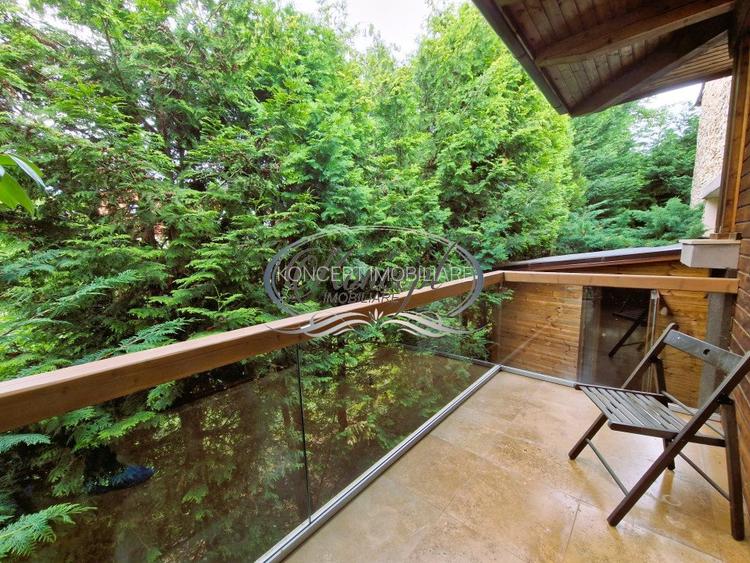 Casa deosebita in Faget - 17