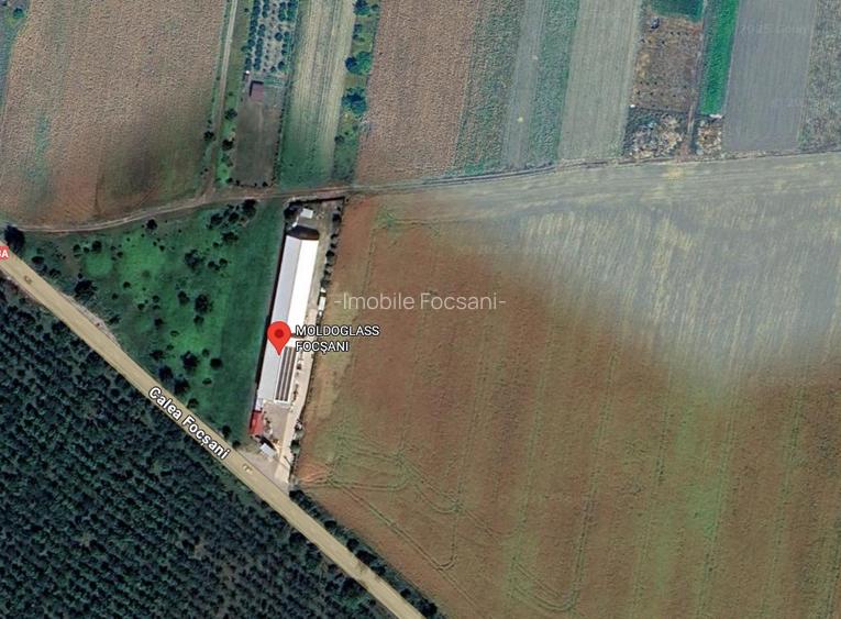 Teren Focsani-9788 mp-D=70 ml - 2