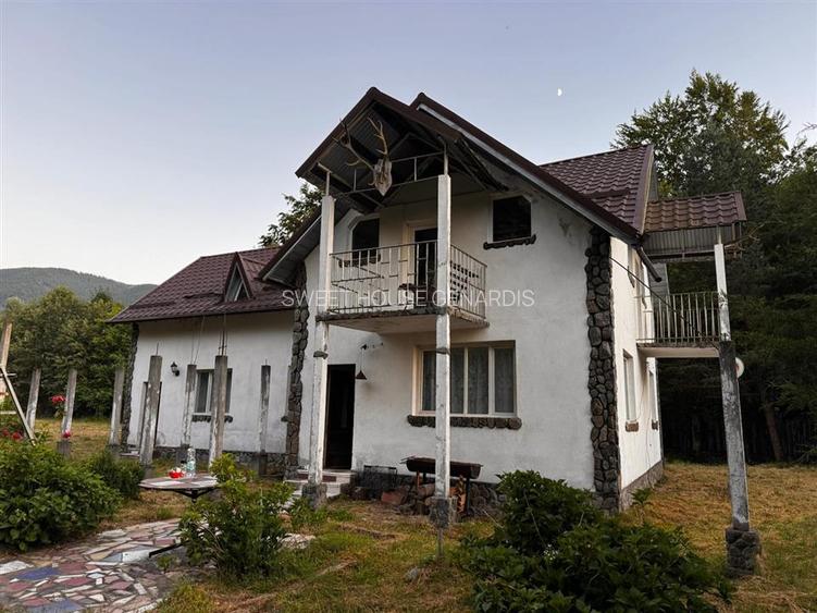 Oportunitate de investitie Cabana Cartisoara Zona Turistica - 43