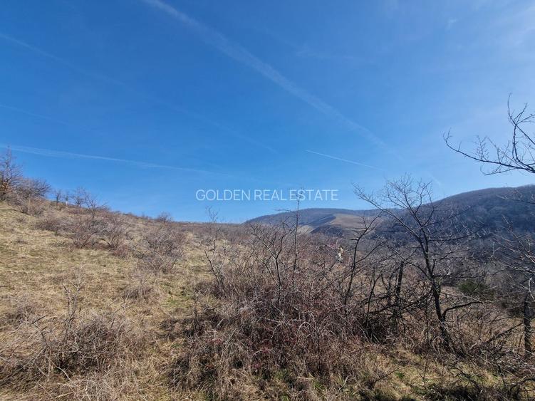 Teren extravilan, 23 400 mp, Cuvin (Ghioroc) - 2