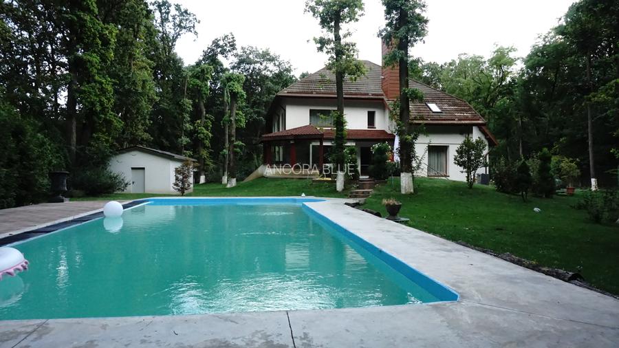 Vila superba in Padurea Baneasa, curte 5000 mp, piscina exterioara - 39
