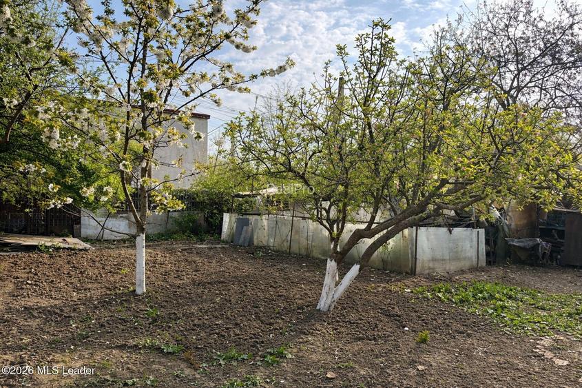 Chitila - Leroy Merlin, teren 423 mp deschidere 2 strazi - 8