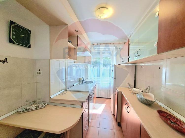 Apartament 2 camere decomandat, centrala gaz, de închiriat Podgoria - 9