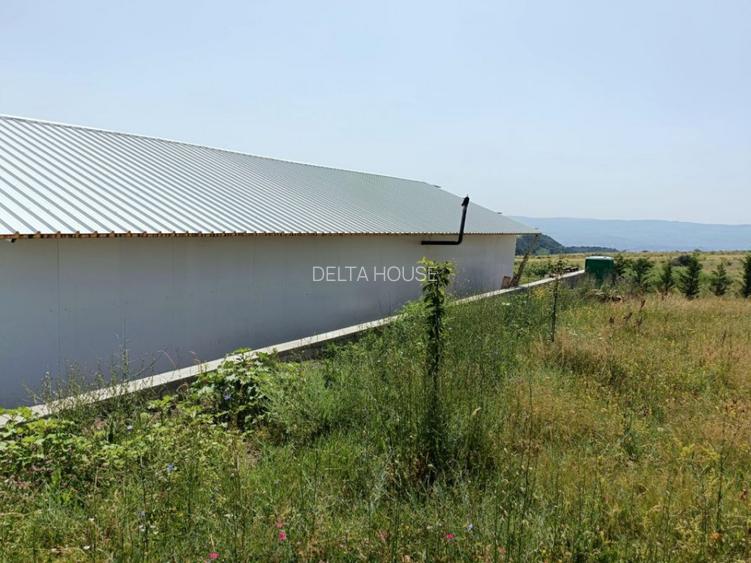 Oportunitate: teren extravilan Cluj, 4527 mp, apa, curent, pret 18 Eur/mp - 9