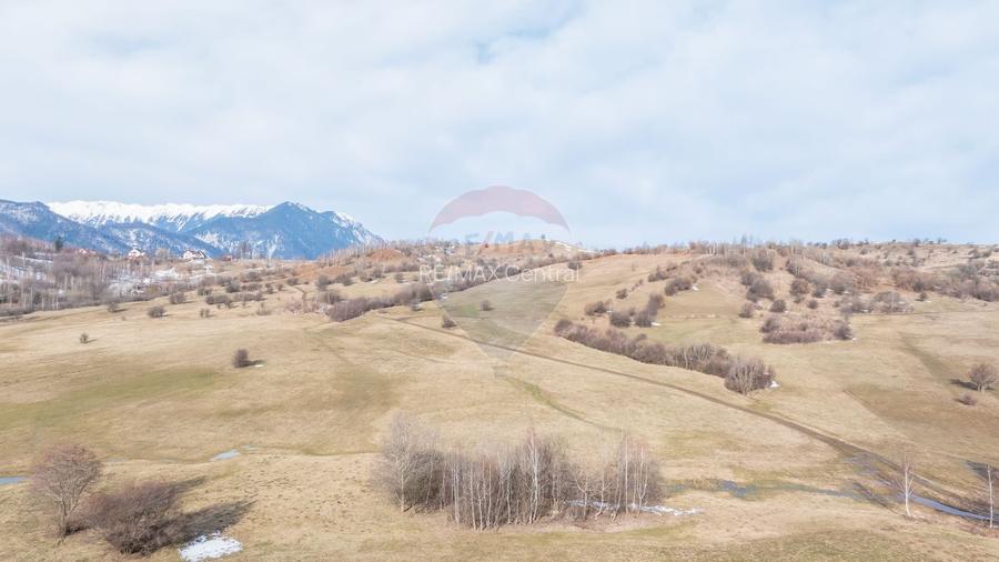 Teren Tohanul Nou 4500mp, in spate Wolf - 9