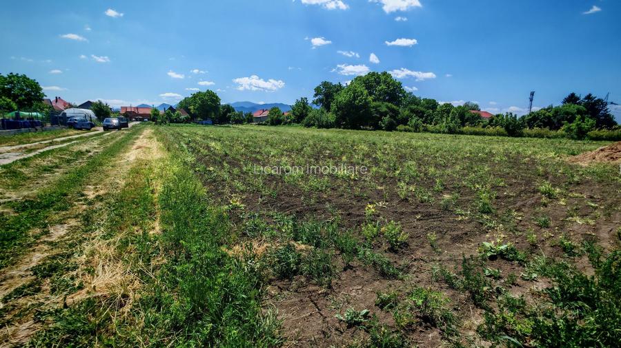 Teren intravilan in Stupini aproape de Centrul Cartierului 856 mp - 2