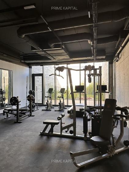 PENTHOUSE EXCLUSIVIST - MOBILAT - GATA DE MUTARE