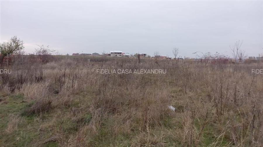 Terenuri de vanzare Iasi, Horlesti - 3