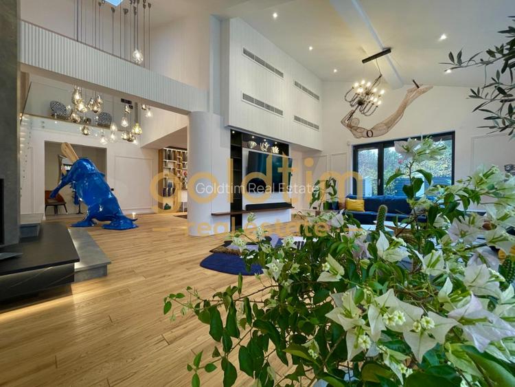 UNICA/ABSOLUT SUPERBA/ VILA INDIVIDUALA/IANCU NICOLAE/CURTE GENEROASA - 19