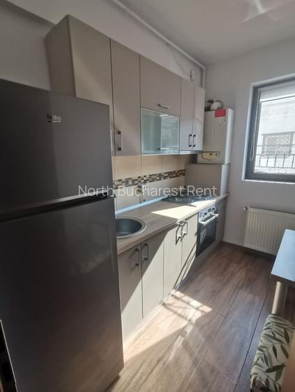 Apartament 2 camere | In zona Mosilor | Curte Proprie - 9