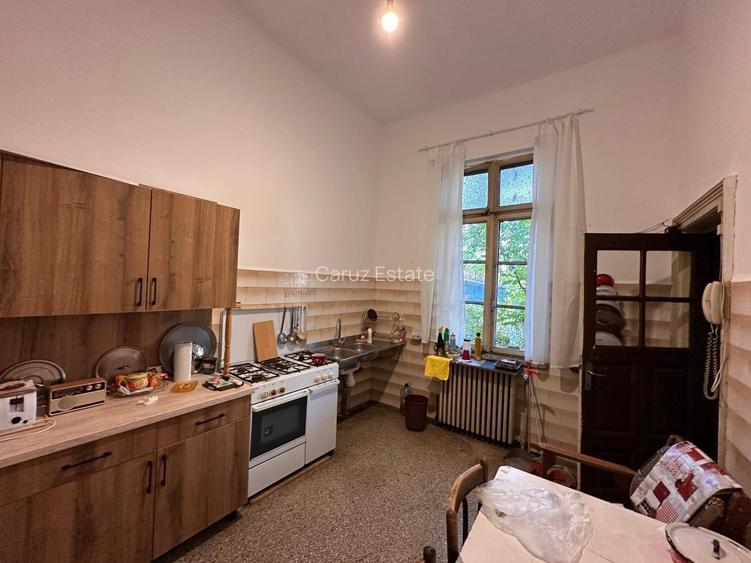 Casa individuala Cismigiu - 6