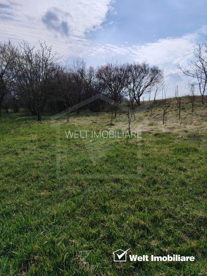 Se vinde casa cu anexe in Valea Calda - 6