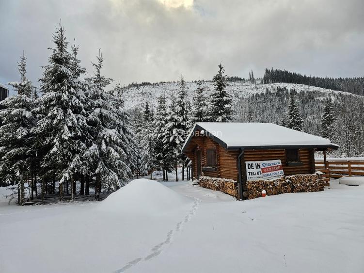 1140mp si cabana Obarsia Lotrului Transalplina 3km partia ski, TOATE UTILITATILE - 3