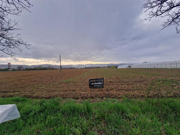 RECO teren intravilan Topa de Cris - 2