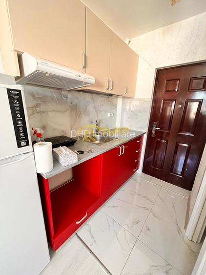 Camera Camin Bularga, Mihail Sturdza - 6