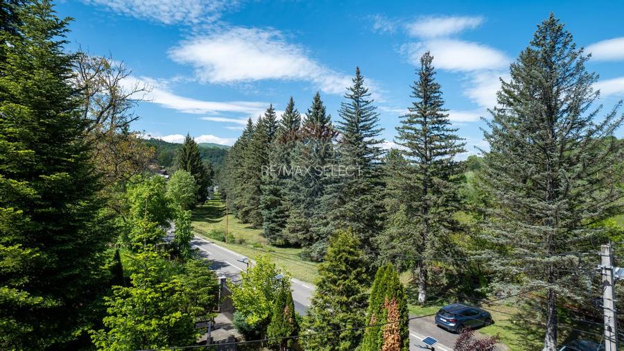 Oferta - vanzare pensiune 10 camere si casa de vacanta, Slanic Prahova - 47