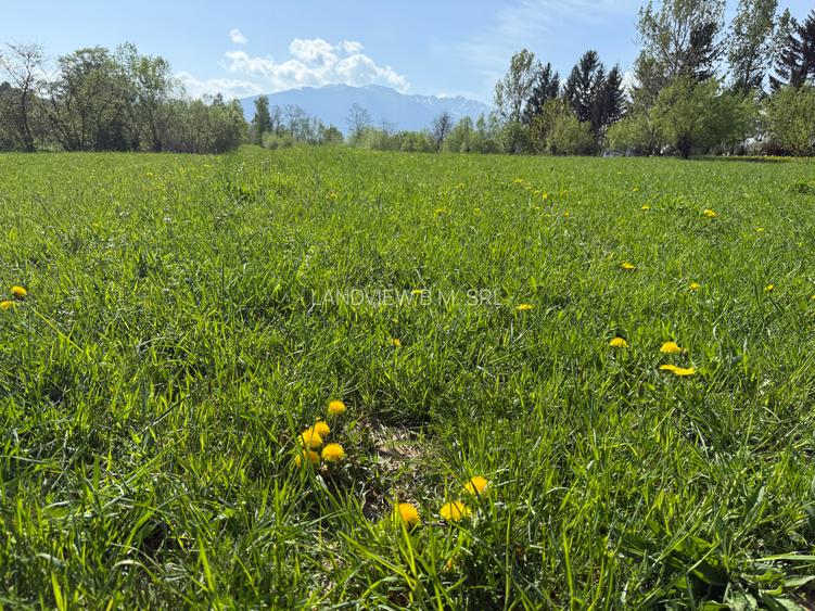 Teren intravilan zona Bran-Tohanita,judetul Brasov loturi intre 500 si 1000 m - 5