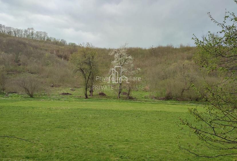 Teren de vanzare, 20.000Mp , Comuna Danes, drumul Crisului - 9