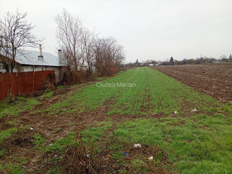 Babajndisndbksbxhskxbksbxbsjzbz sjx - 3