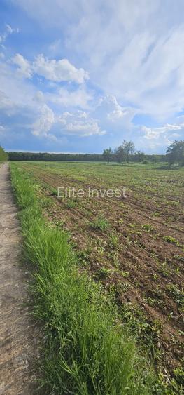 Teren intravilan - 4752 mp - 8 loturi de 594 mp - com Gruiu-Lipia - km 31 A3 - 2