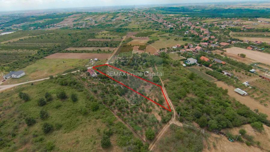 De vânzare Teren 3995mp intravilan Săldabagiu de Munte - 9