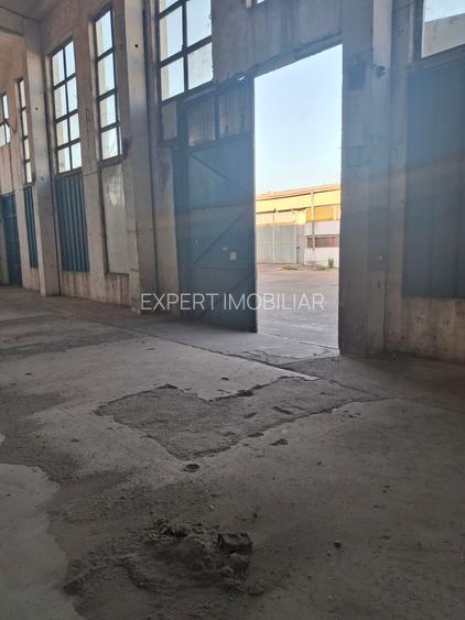 Spatii depozitare /productie Linia de Centura Leordeni-Glina - 4