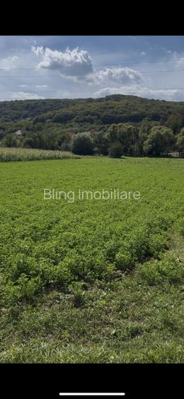 Teren intravilan 2.000 mp front 36ml Popesti Vale  - 2