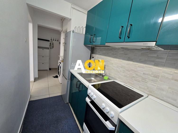 Apartament 3 camere, renovat, etaj 3, Cetate, langa Parcul Unirii - 8