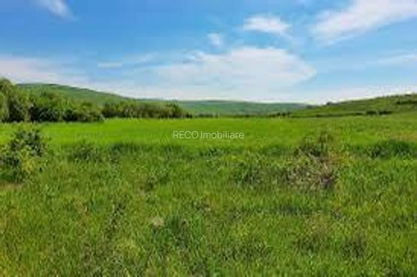 RECO Teren extravilan in Dragesti spre Stracos 6552mp - 3