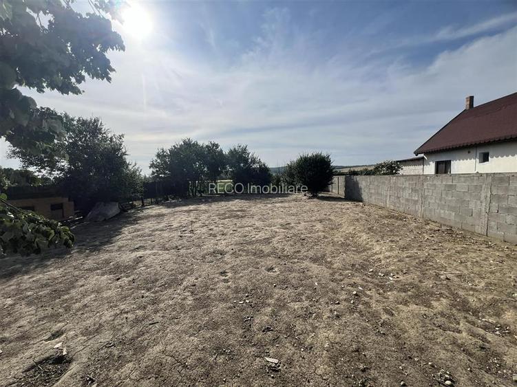 RECO , teren intravilan, Ineu,Bihor - 2