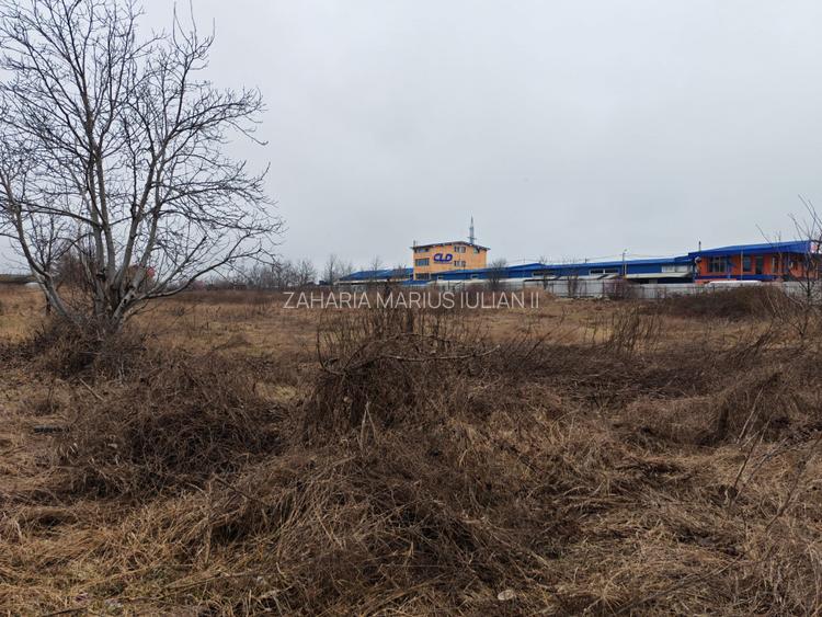 Teren pentru investitii in Izvoare - 2