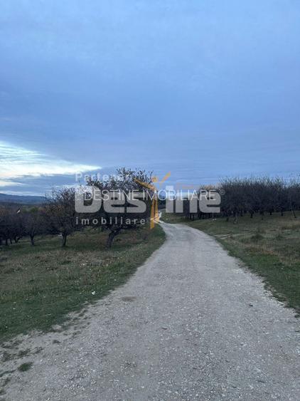 Teren de Vânzare – 34.485 mp | Câmpulung Muscel | Zonă Panoramică & Dezvoltare - 5