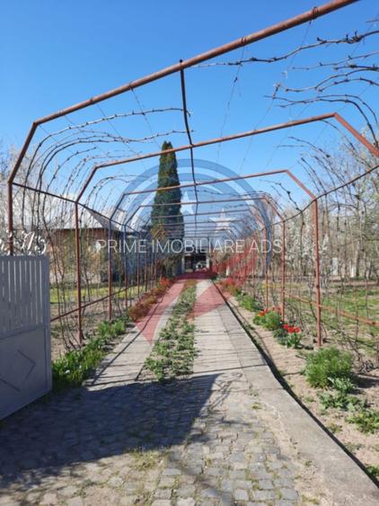 Casa de vanzare/Balcesti/Valcea/Str Pietii - 19