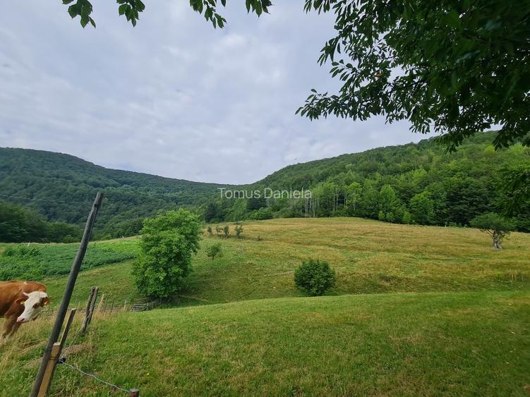 Teren de vânzare cu casă în Apuseni - 17