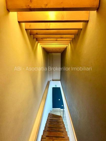 Spatiu  Stefan Cel Mare S P 1 supr 215 mp - 18