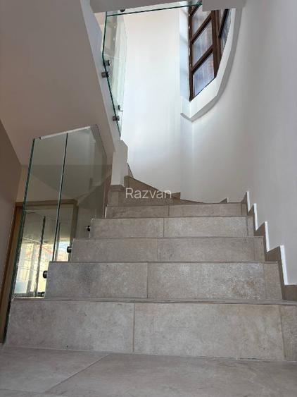 Vila langa lacul Baneasa, parcul Herastrau, zona Nord - 12