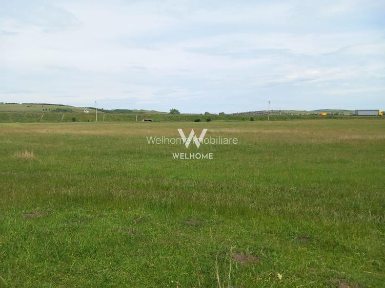 Teren intravilan, Claea Surii Mici - Sibiu - 4