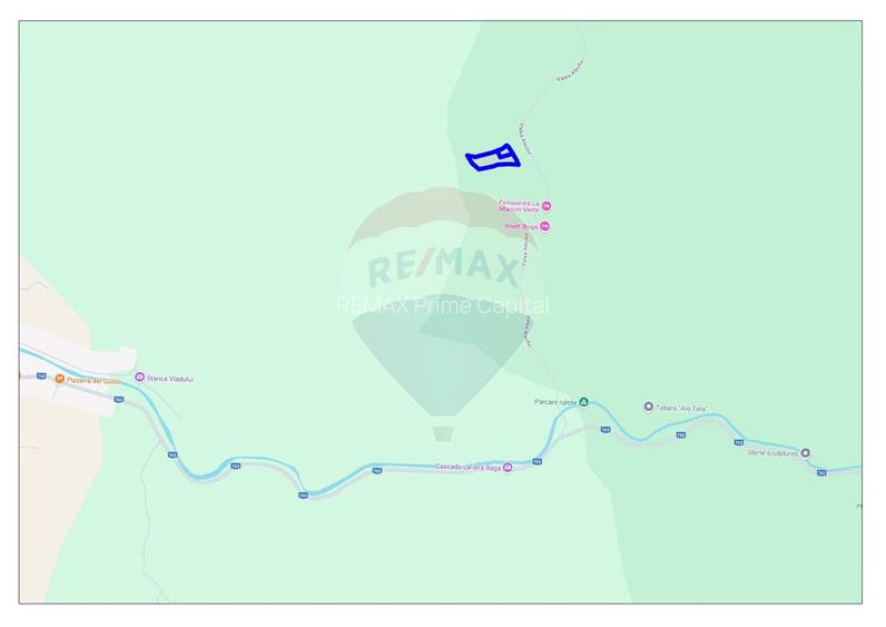 Teren 6700 mp, Apuseni, Pietroasa, Valea Aleului, Bihor, De Vânzare - 4