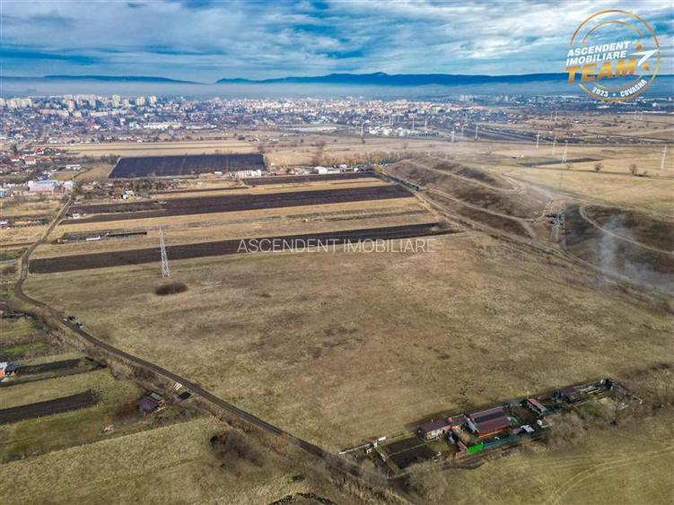 11.600 mp in Sfantu Gheorghe – deschidere: agroturism, investitie, ferma, comerc - 6