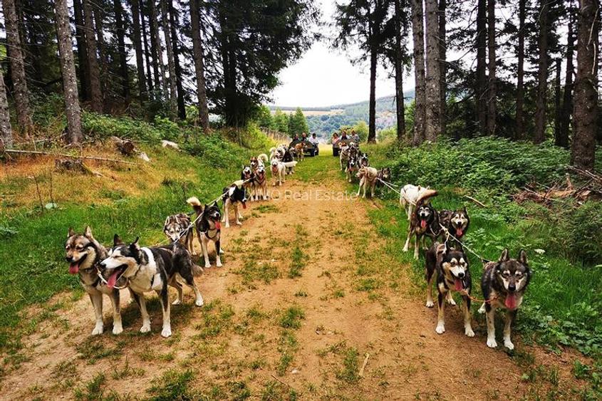 Teren cu Certificat Urbanism - 9